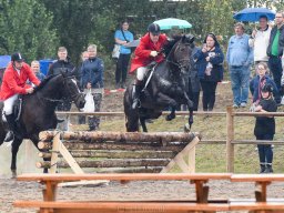 _DSC8141_web